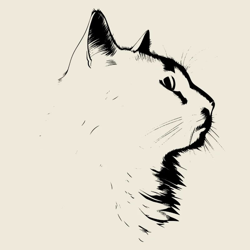 Chat, Motif De Chat