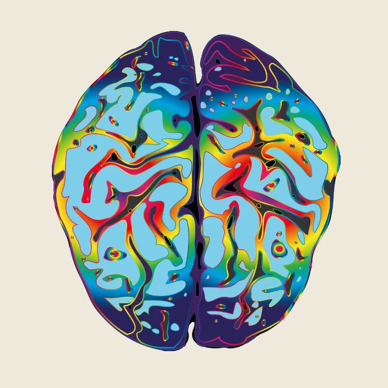 LSD Brain