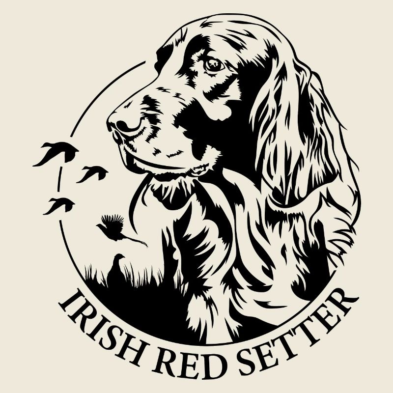 Irish Red Setter Jagdhund Jagdhunde Hunde Wilsigns
