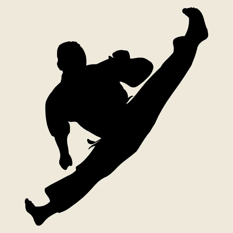 Jumpkick Geri Kick Karate oder Teakwondo