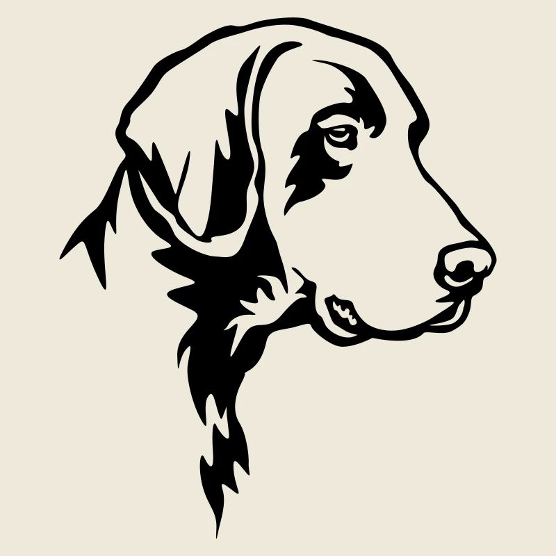 German Shorthair head