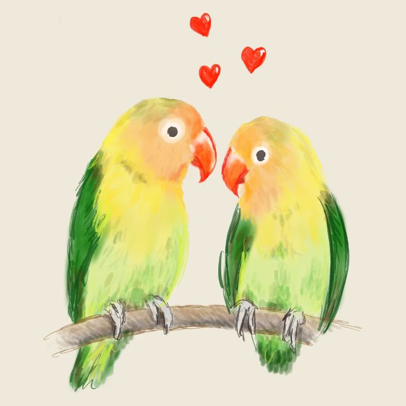 Lovebirds