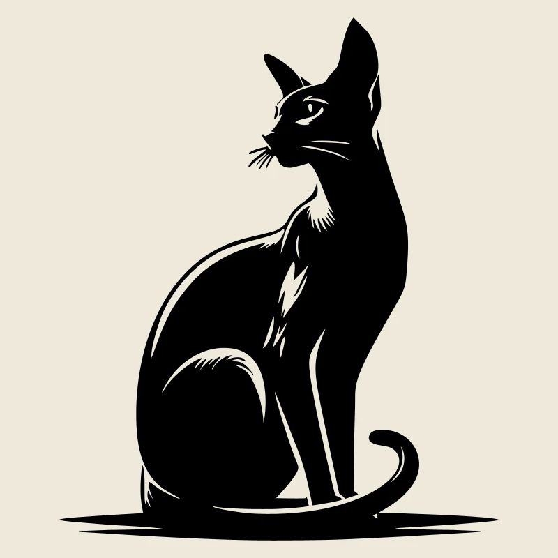 Chat oriental à poil court