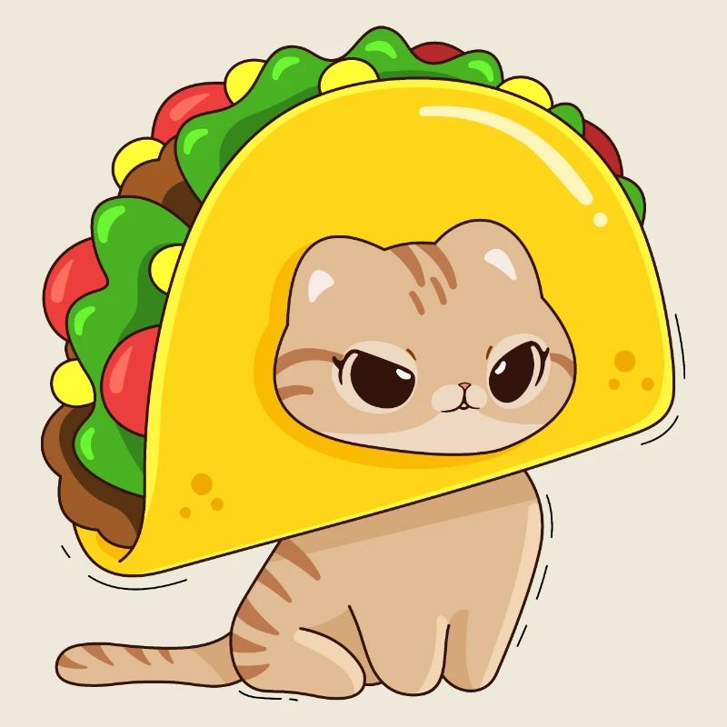 Cat and Tacos
