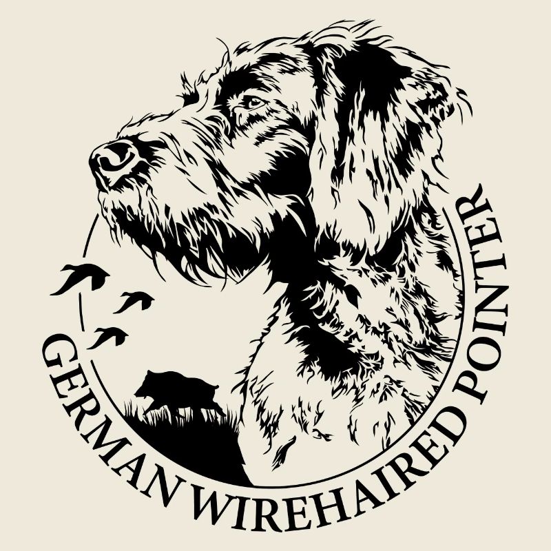 GERMAN WIREHAIRED POINTER Wilsigns Jagdhunde Hund