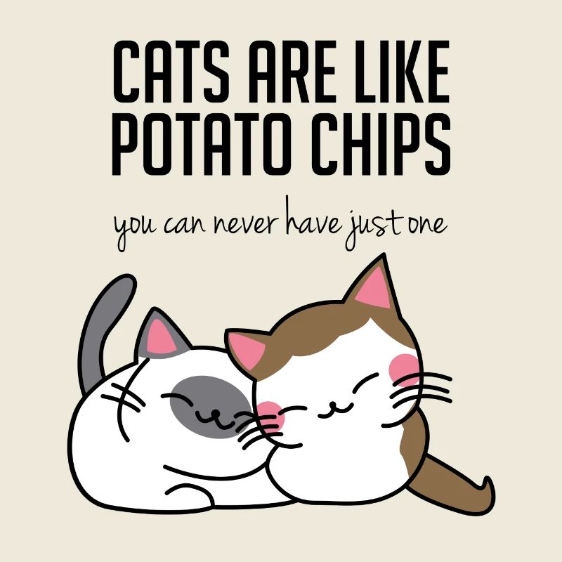 Katzen: Cats are like potato chips...