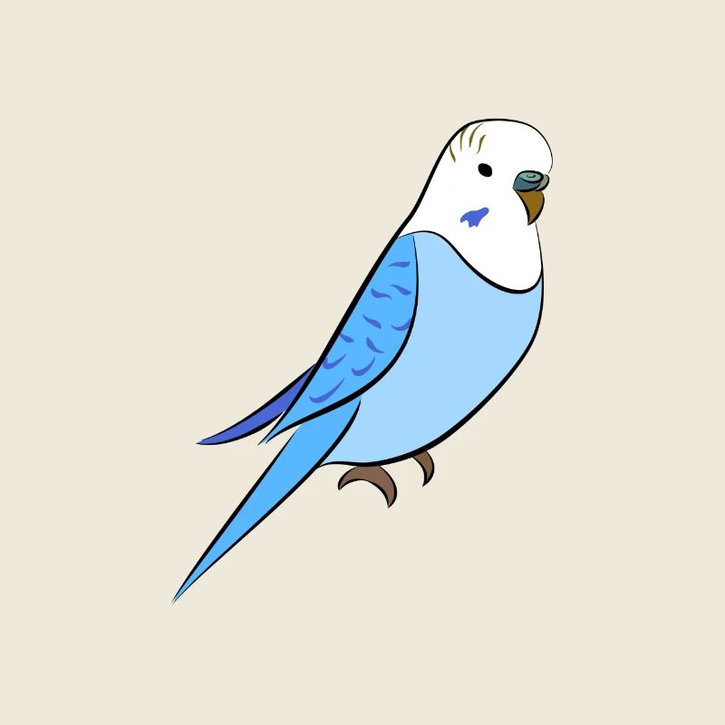 Budgie blue