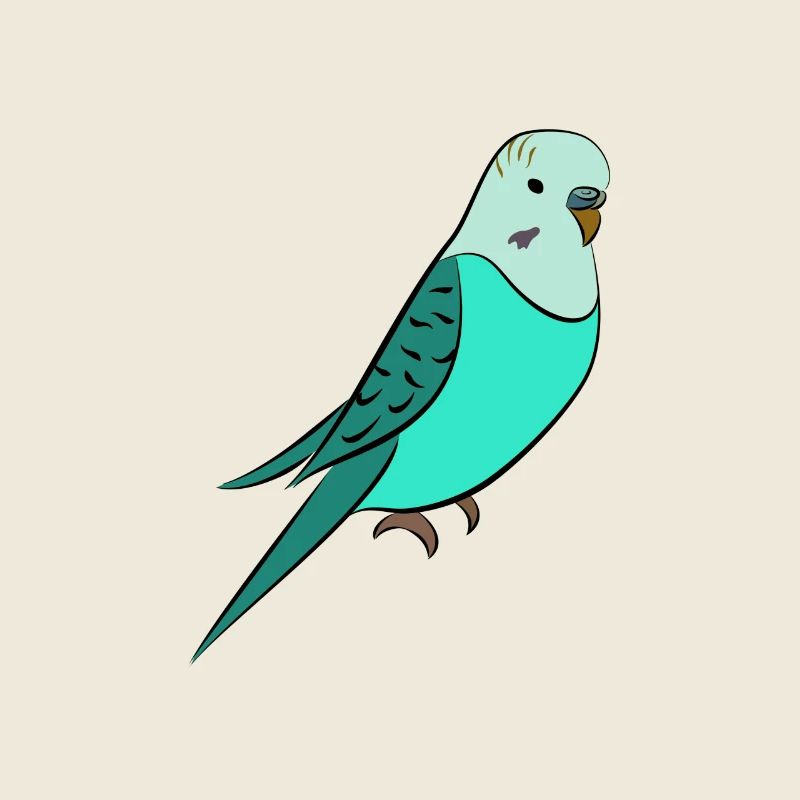 Budgie turquoise