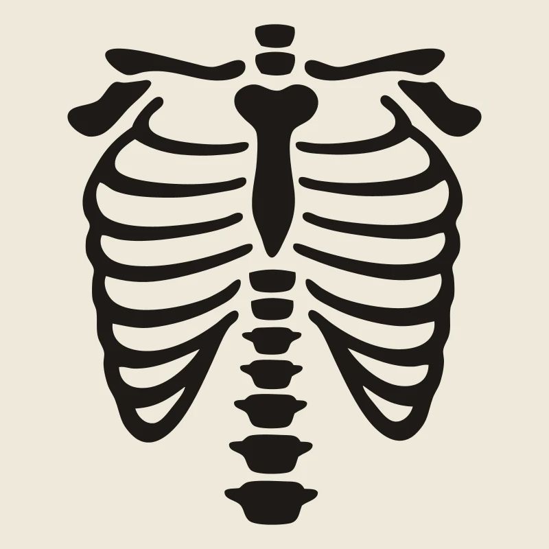 xray_vector