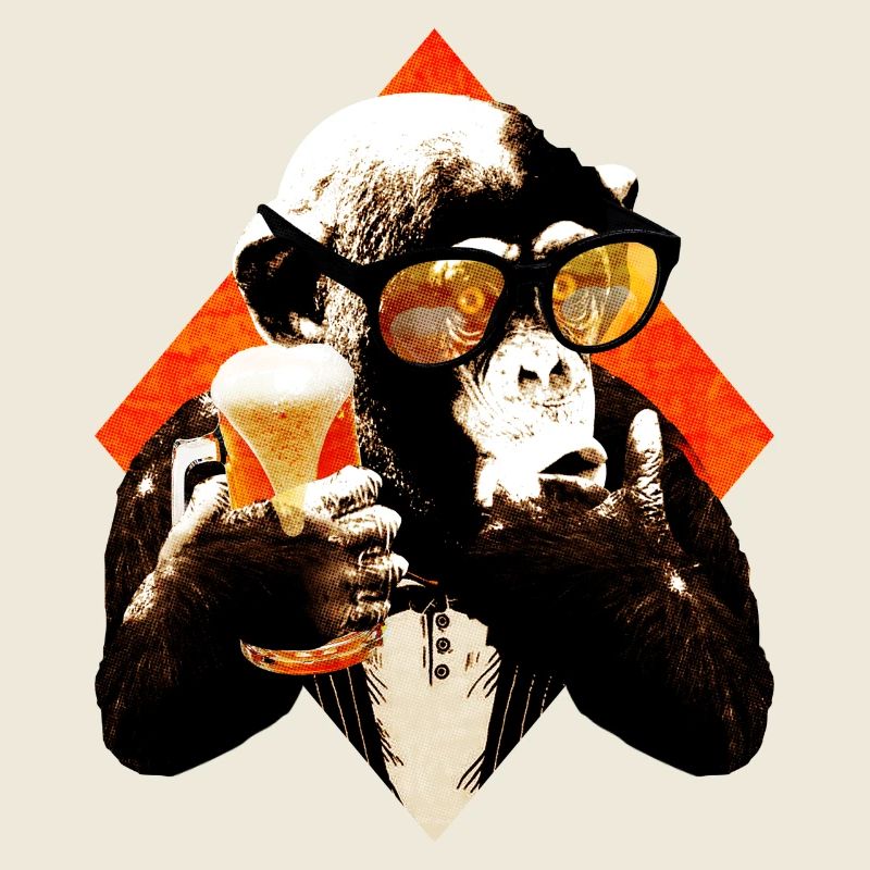 funny beer chimpanzee
