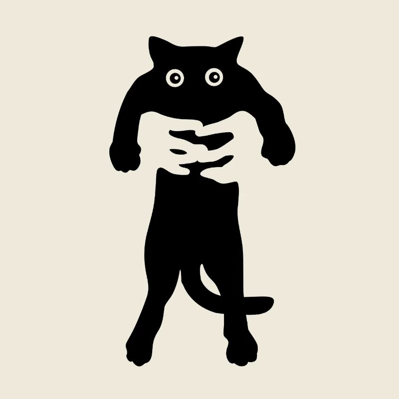 black cat