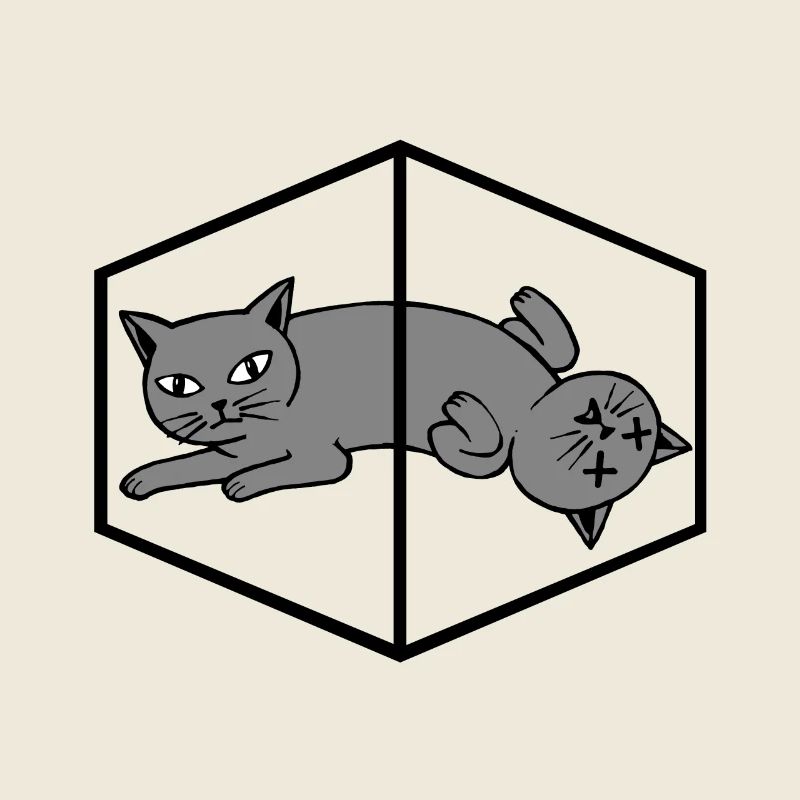 Schroedingers Cat Schrödingers Chat Physique