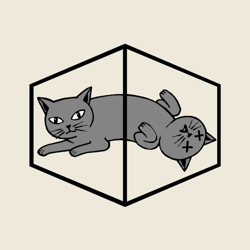 Schroedingers Cat Schrödingers Katze Physik