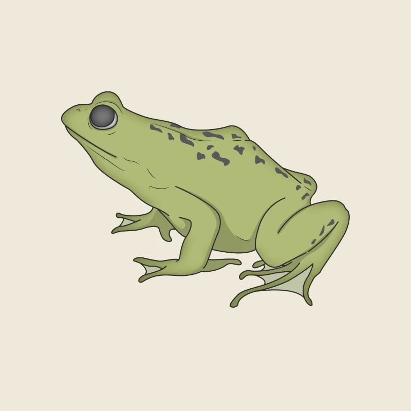 frog