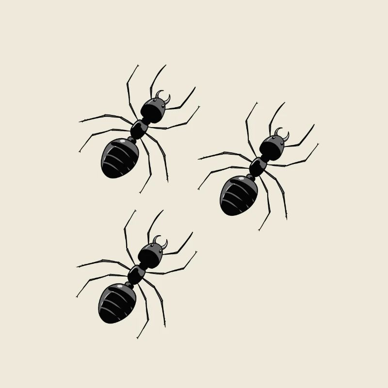 Ant Ants Insects Insect Pests Nature