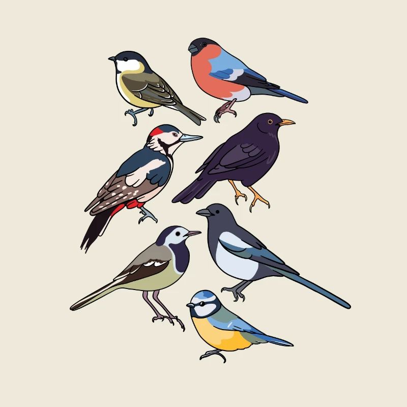 Oiseaux de jardin Oiseaux
