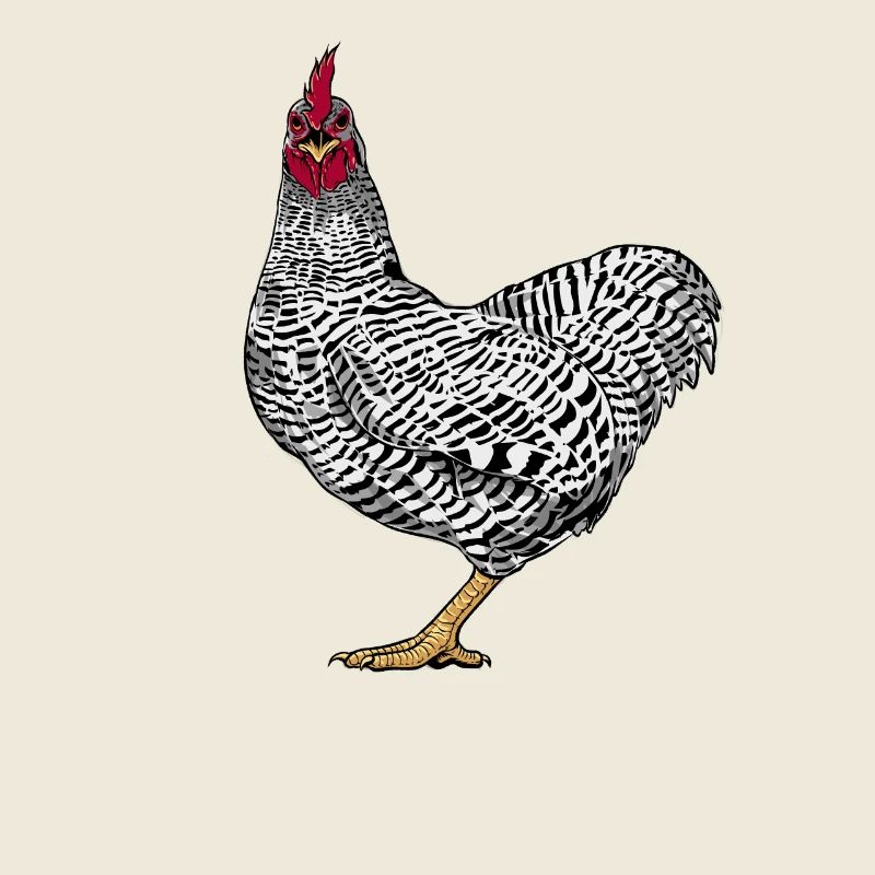 Amrock Huhn