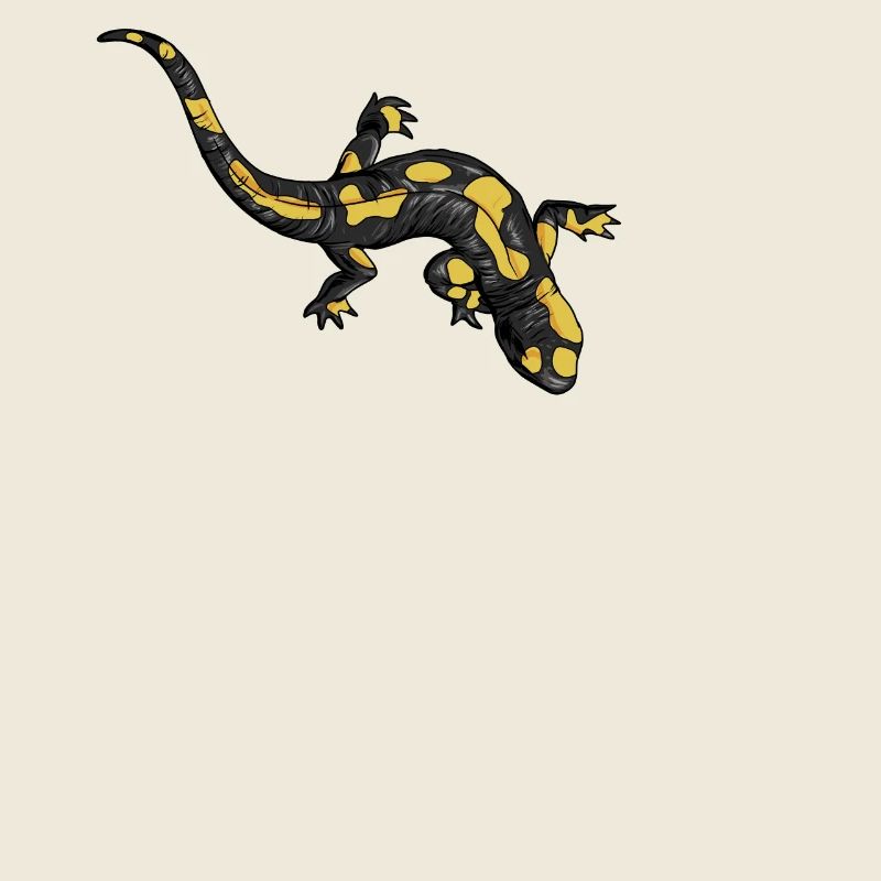 Dessin d’une salamandre de feu
