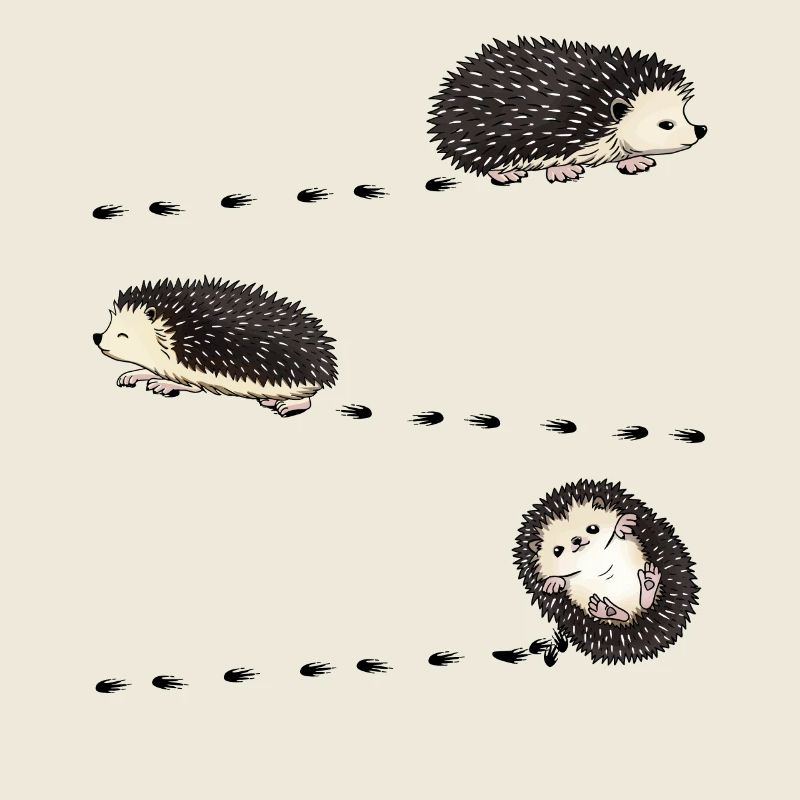 Empreinte du costume de hérisson à ventre blanc africain