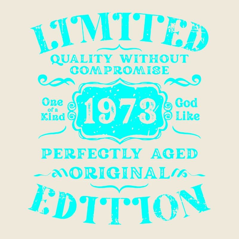 Geburtstag 1973 Limited Edition Geschenk Used Cool