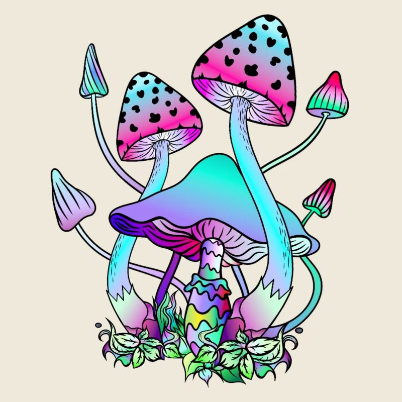 Magic Mushrooms Bunte Pilzkunst