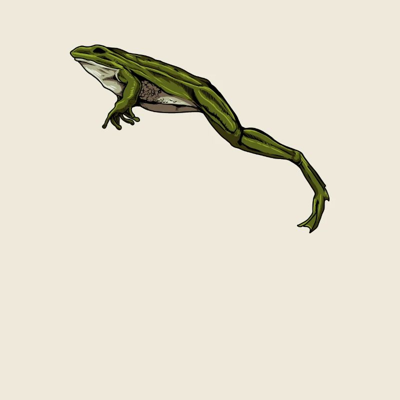 Frog jumps - Frogs