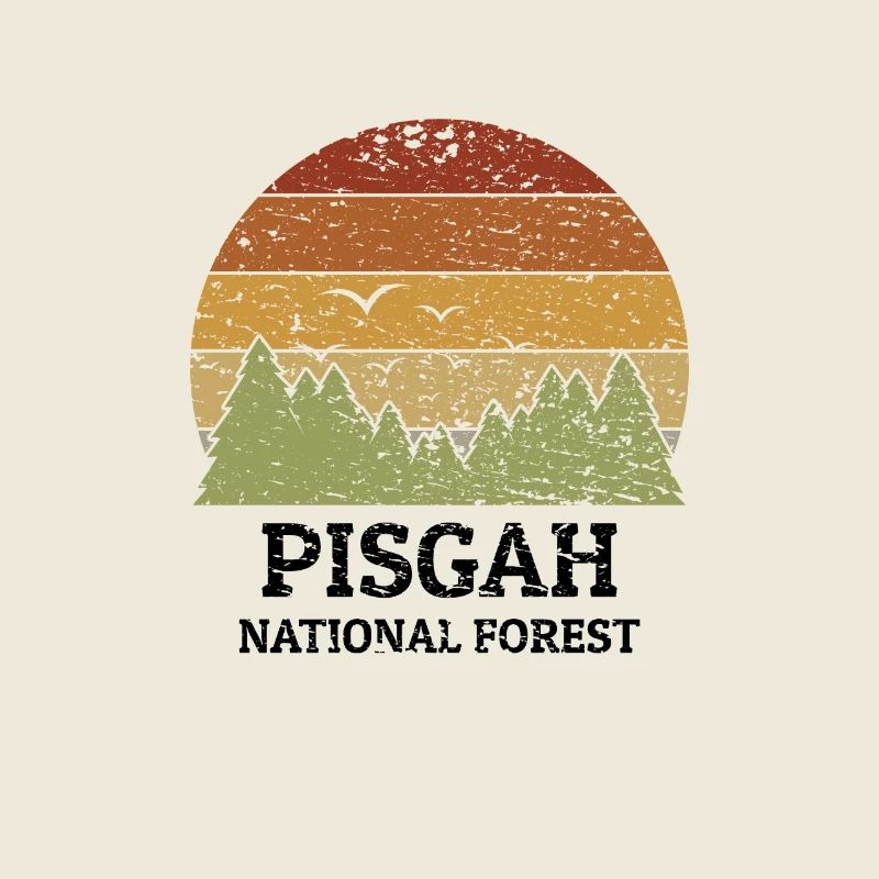 Forêt nationale de Pisgah