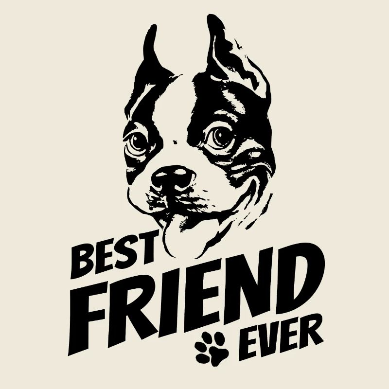 Boston Terrier - meilleur ami - propriétaire de chien