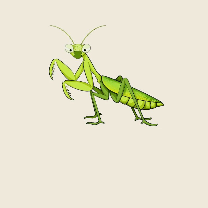 Cartoon Mantis