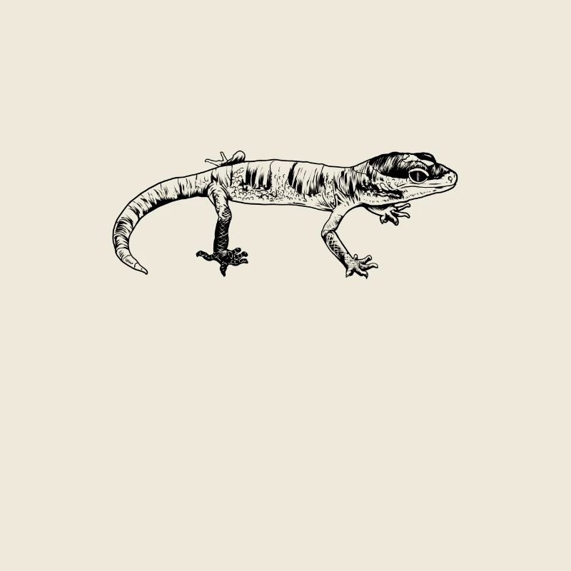 Dessin au trait - Gecko