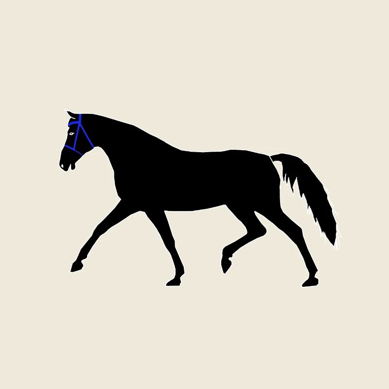 Cheval, Noir, Étalon, Cavalier, Cavalier, Chevaux, Enfant
