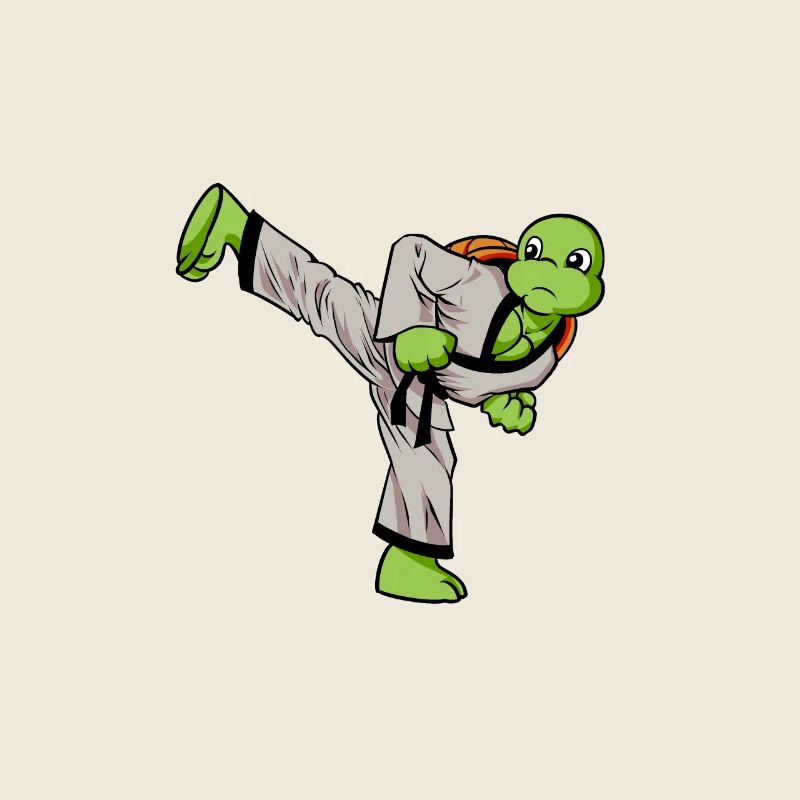 Cartoon turtle doing hapkido