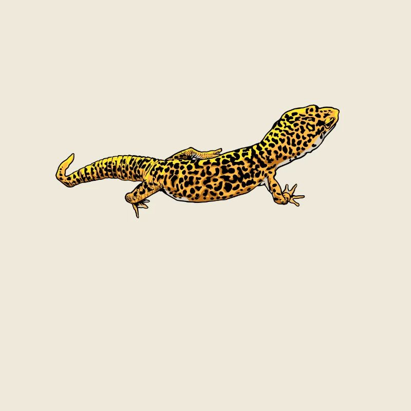 Zeichnung - Leopardgecko
