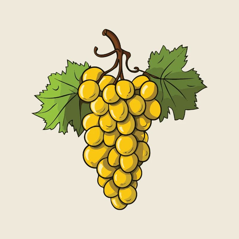 Grapes Fruit