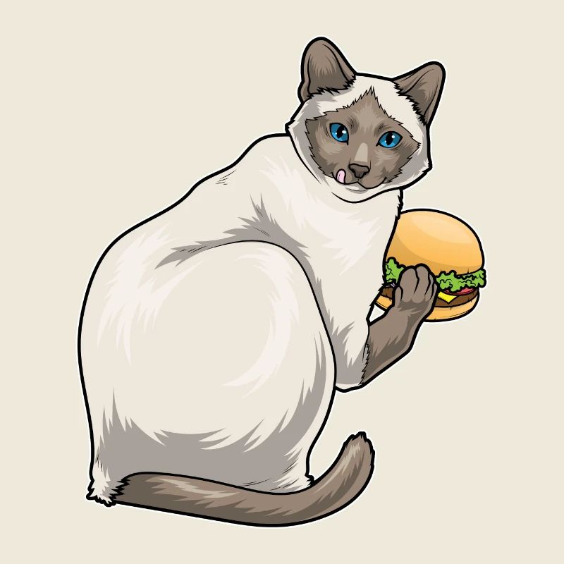 Siamkatze Cheeseburger