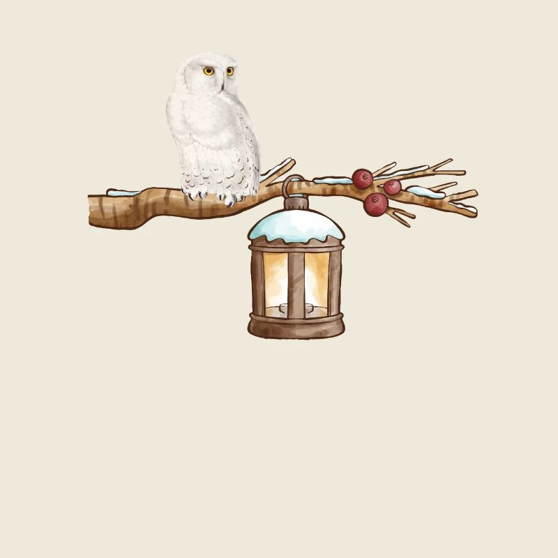 Winter-Eule Winter Owl