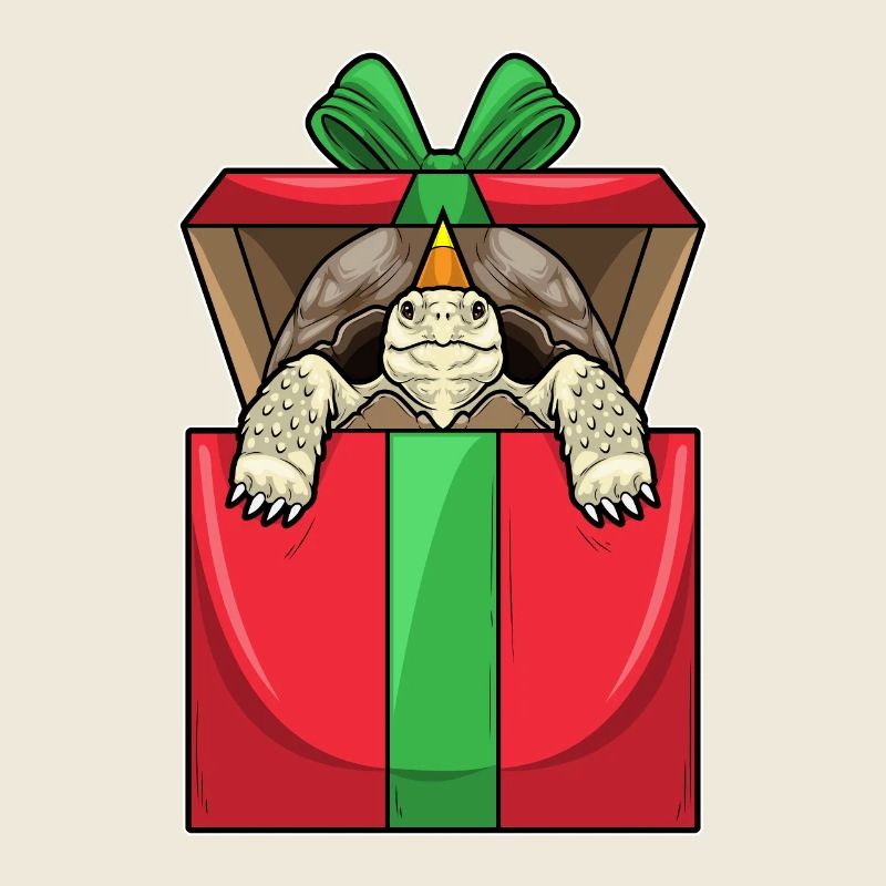 Schildkröte Geburtstag Paket