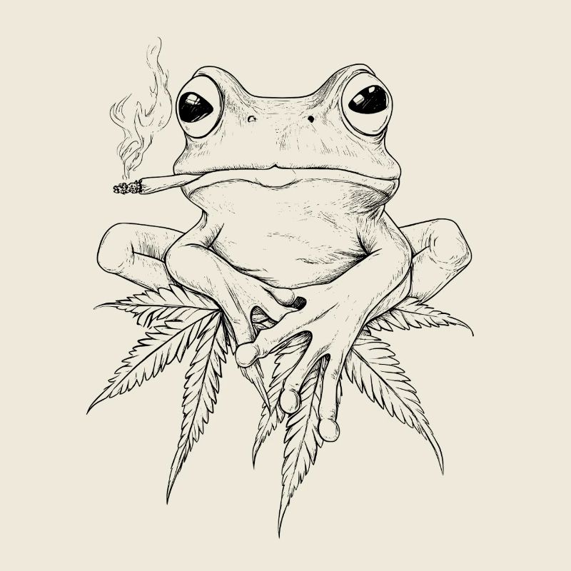 Grenouille sur feuille de cannabis avec joint - Weed Frog