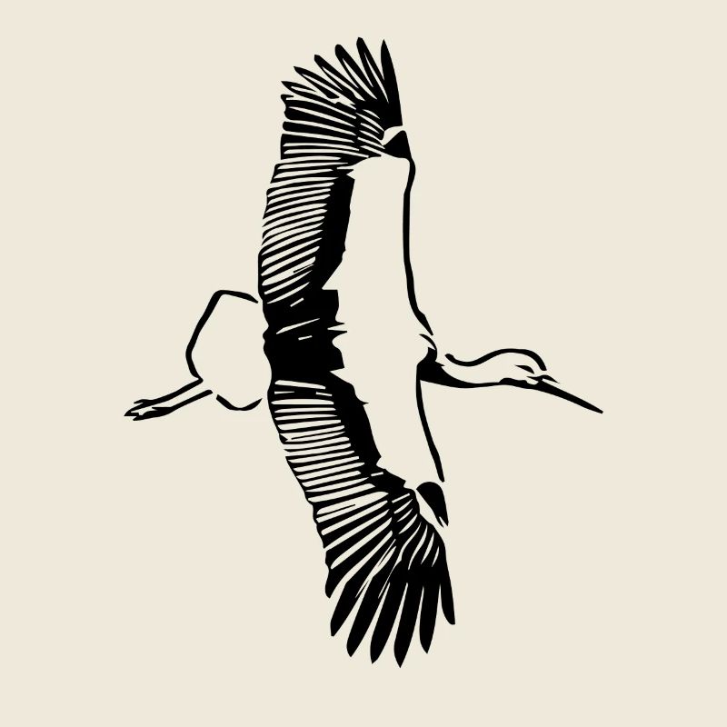 Flight of the stork