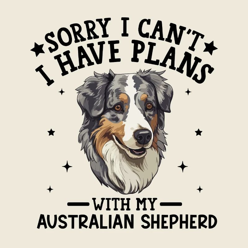 Australischer Schäferhund, Abbildung