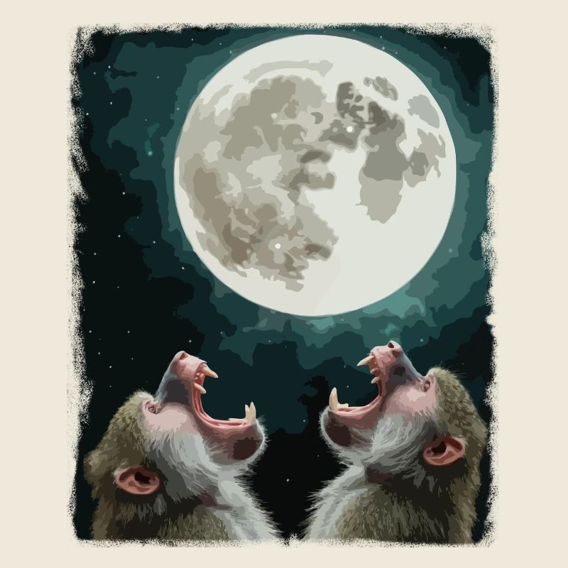 Moon and baboon night sky