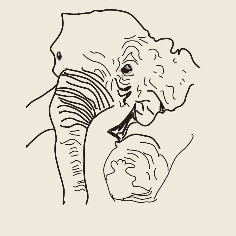 Elephant found Thailand