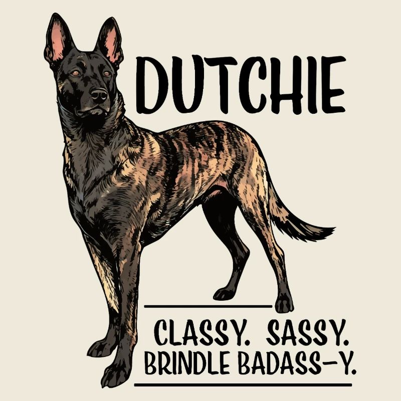 Dutchie - Holländischer Schäferhund