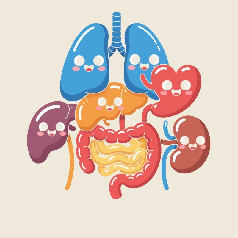 Dessin animé drôle d’organes digestifs