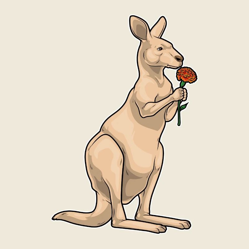 Känguru Ringelblume