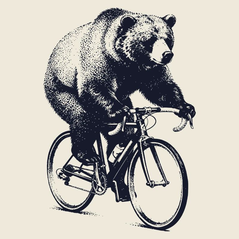 Bear sur une moto de course