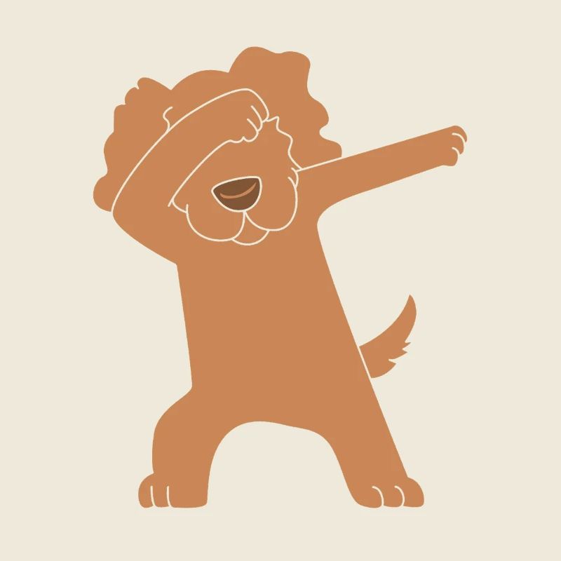 Boykin Spaniel
