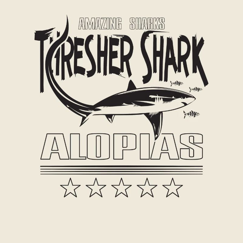 Thresher Shark, thresher shark, Alopias, diving