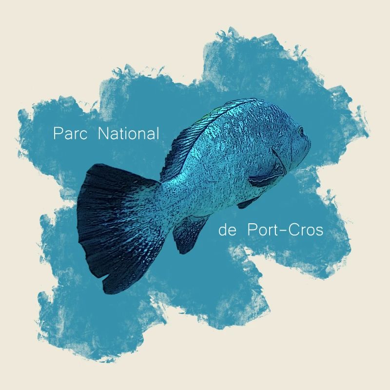 Ich kann nicht, ich bin in Port Cros weitergetaucht.