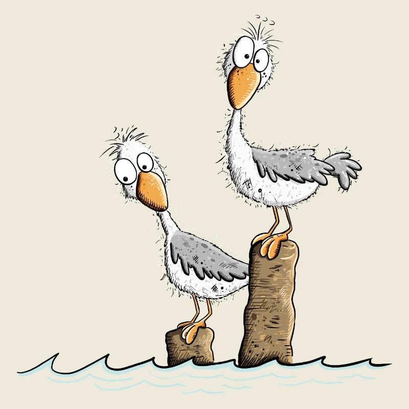 Droll Seagulls Mer du Nord Mer Baltique Vacances Maritime
